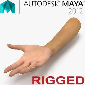 Female Hand Rigged for Maya
